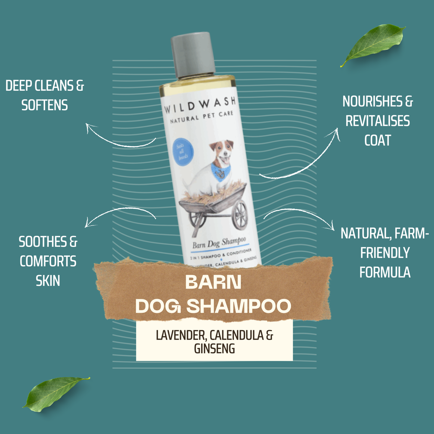 WildWash Yard Dog Shampoo – 2-in-1 Natural Shampoo & Conditioner for Dogs 250ml
