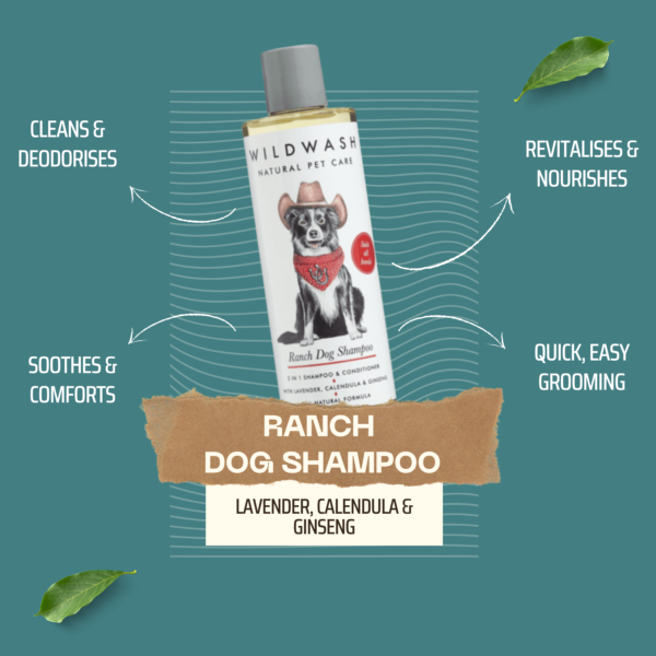 WildWash Ranch Dog Shampoo – 2-in-1 Natural Shampoo & Conditioner 250ml