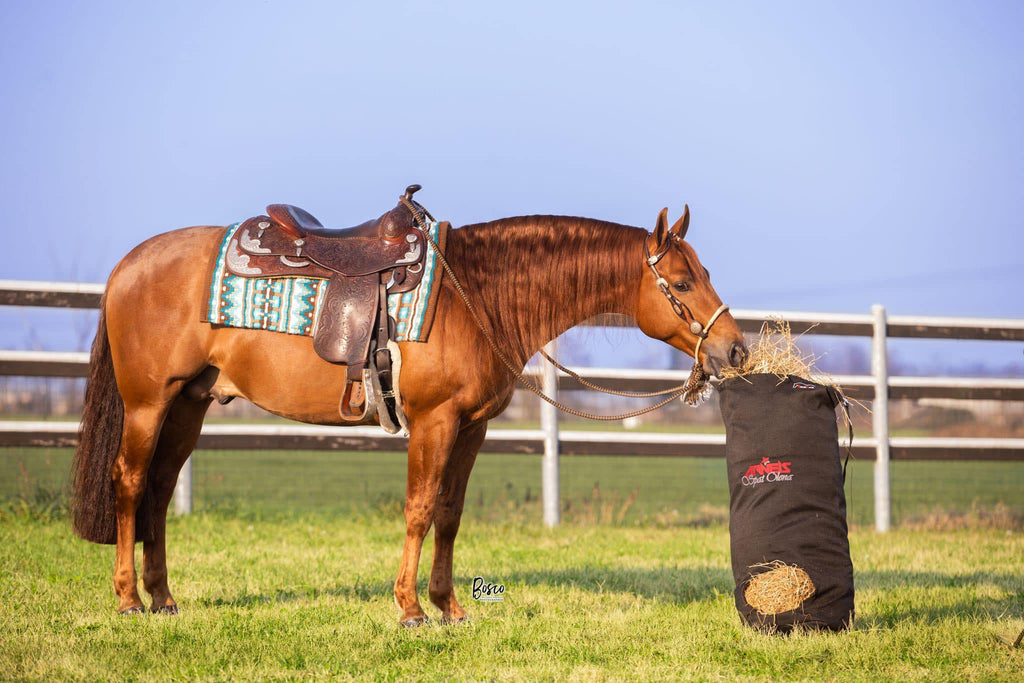 Hay Bags