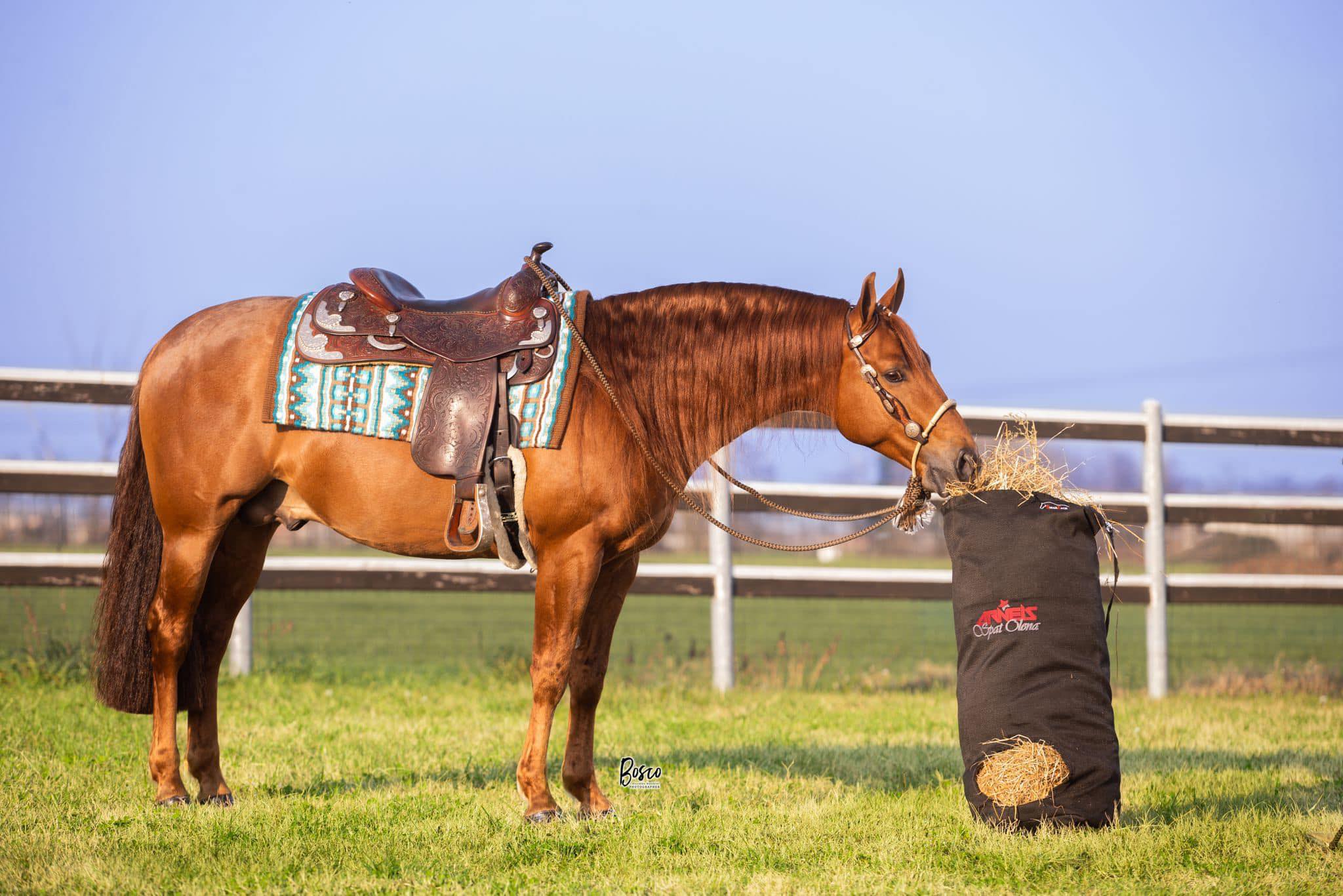 Hay Bags
