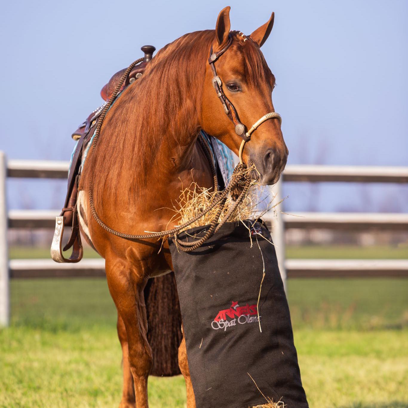 Hay Bags