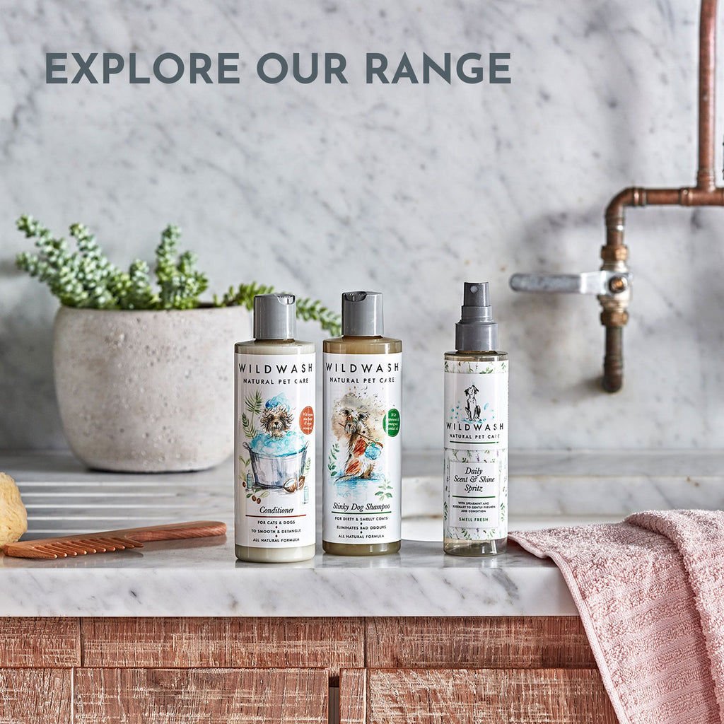 Hydrating Shampoo for Dry and Flaky Coats for Dogs 300ml