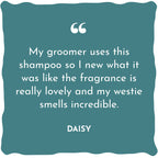 Deshedding Shampoo & Perfume Fragrance No.2 For Dogs Bundle
