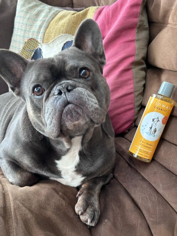 WildWash 2-in-1 Charity Dog Shampoo & Conditioner