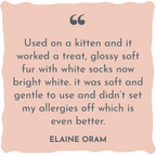 Cat Paw Balm 50ml