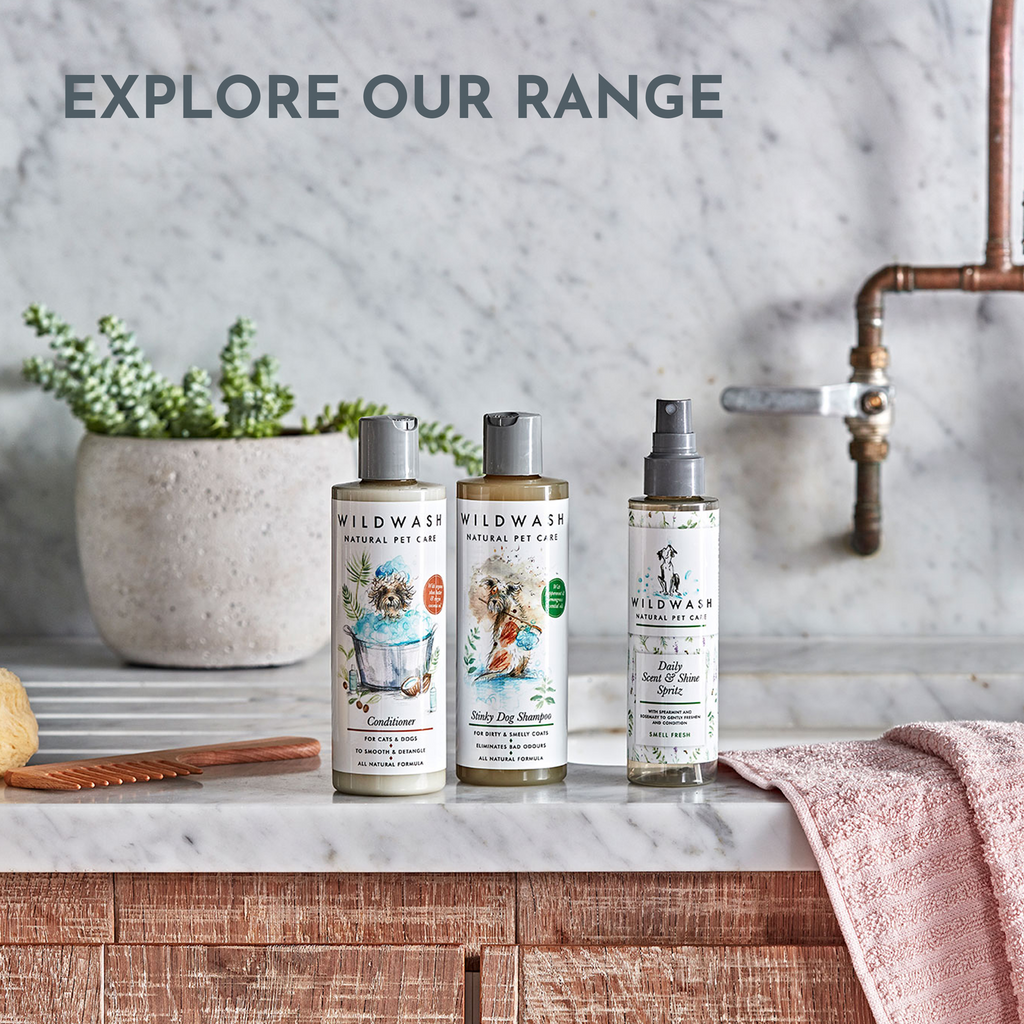 Hydrating Shampoo for Dry and Flaky Coats & Nourishing Conditioner Bundle