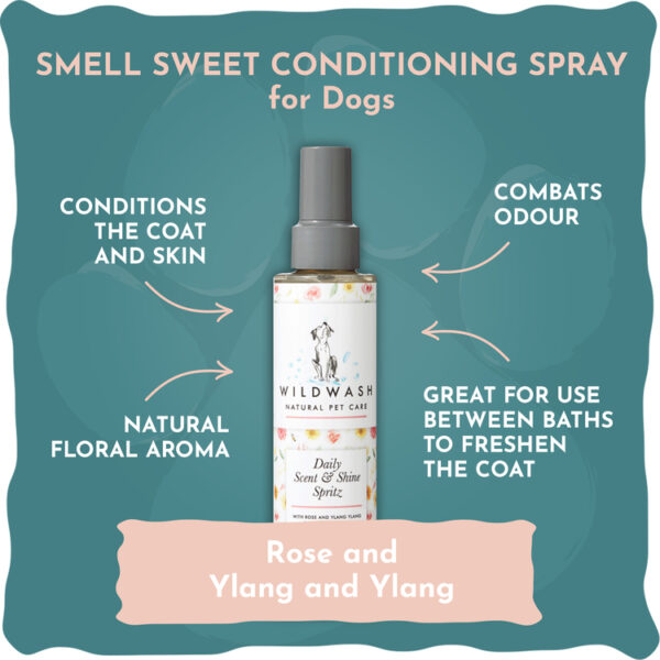 Smell Sweet Conditioning Spray for Dogs 150ml